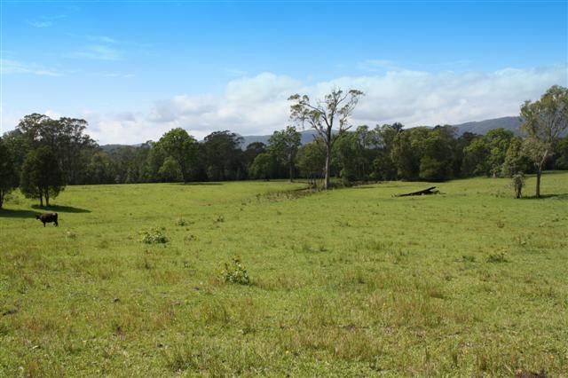 Click to view all images Byabarra NSW 2446 - Image 3