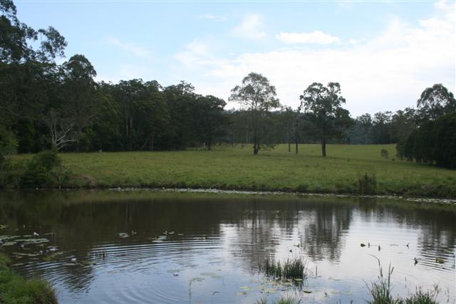 Byabarra NSW 2446 - Image 2