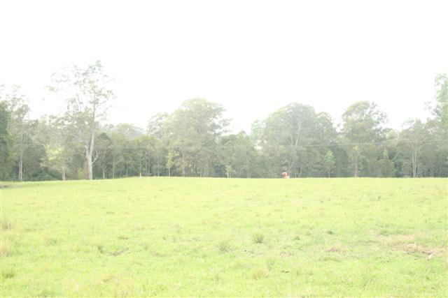 Byabarra NSW 2446 - Image 3