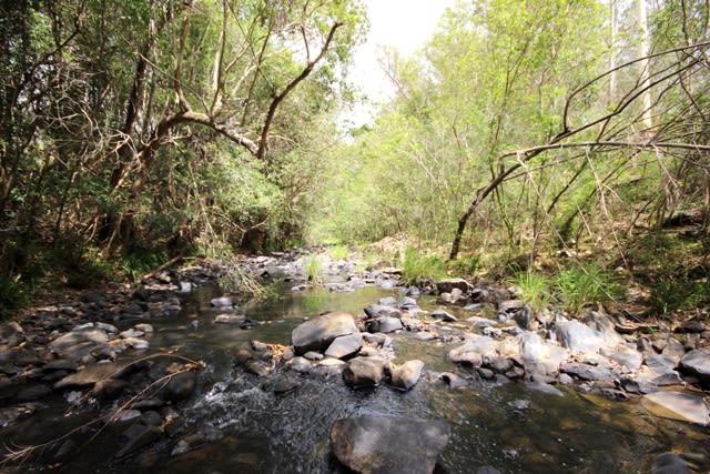 Click to view all images Bagnoo Road Byabarra NSW 2446 - Image 2