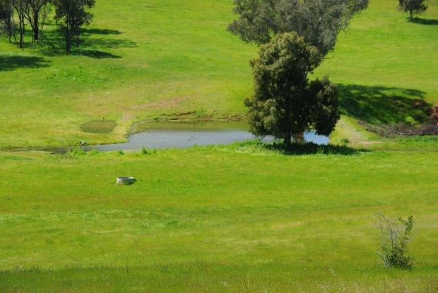 Click to view all images 621 NAROOGAL ROAD Bakers Swamp NSW 2820 - Image 1