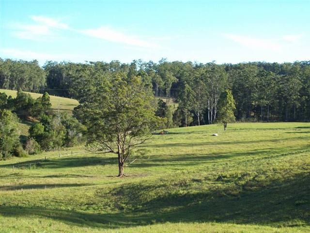 Pembrooke NSW 2446 - Image 1