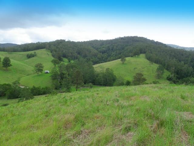 Click to view all images Cooks Road Pappinbarra NSW 2446 - Image 1