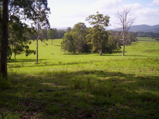Click to view all images Lot 59 Fletchers Road Rollands Plains NSW 2441 - Image 1