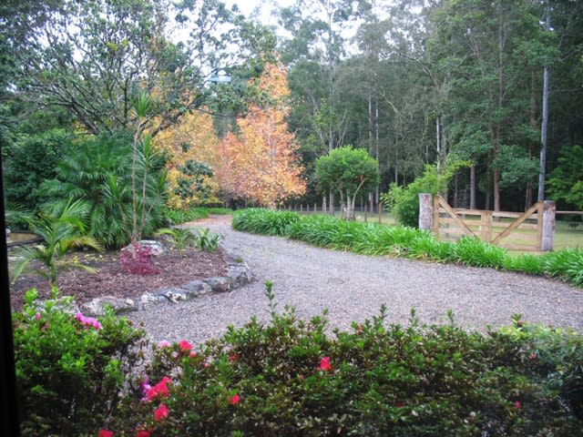 Click to view all images 265 Deep Creek Road Wauchope NSW 2446 - Image 1