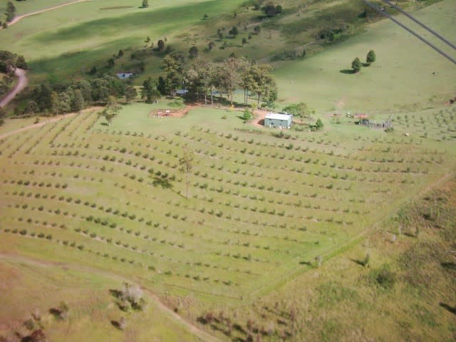 906 Pipeclay Road Pipeclay NSW 2446 - Image 1