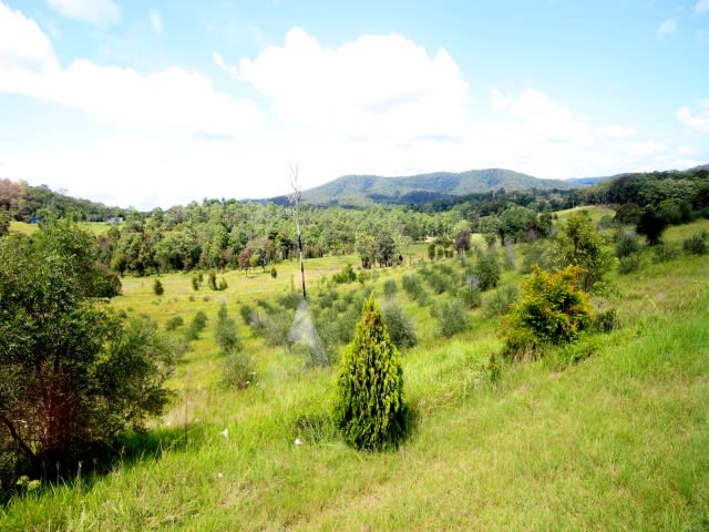 906 Pipeclay Road Pipeclay NSW 2446 - Image 2