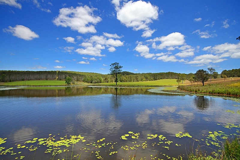 Click to view all images 26 Hyndmans Creek Road Byabarra NSW 2446 - Image 1
