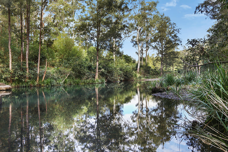 861 Pappinbarra Road Pappinbarra NSW 2446 - Image 1