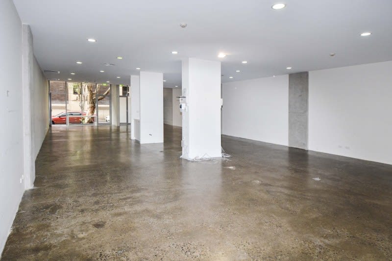 05 & 05/52 Waterloo Street Surry Hills NSW 2010 - Image 3
