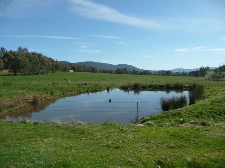 Click to view all images 2228 Myrtleford-Yackandandah Road Bruarong VIC 3749 - Image 2