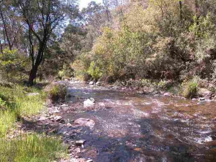 Click to view all images 1535 Great Alpine Road Smoko VIC 3741 - Image 2