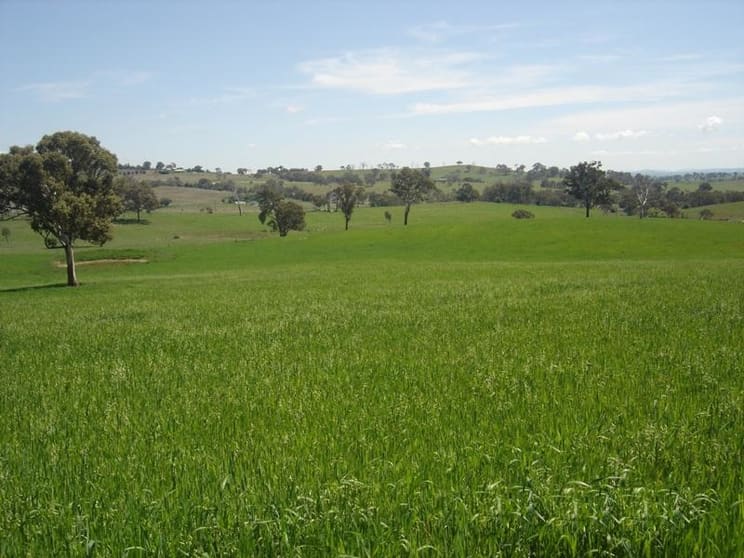 22 Purdons Lane O'connell NSW 2795 - Image 3