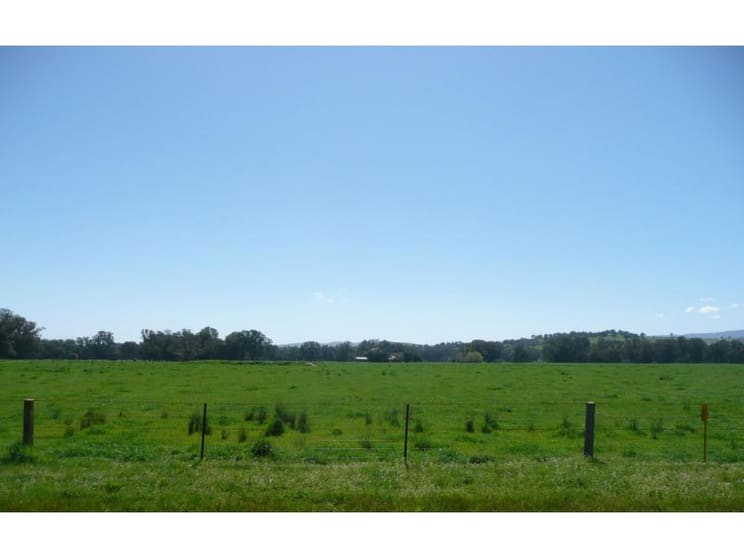 287 Whorouly River Road Whorouly VIC 3735 - Image 3