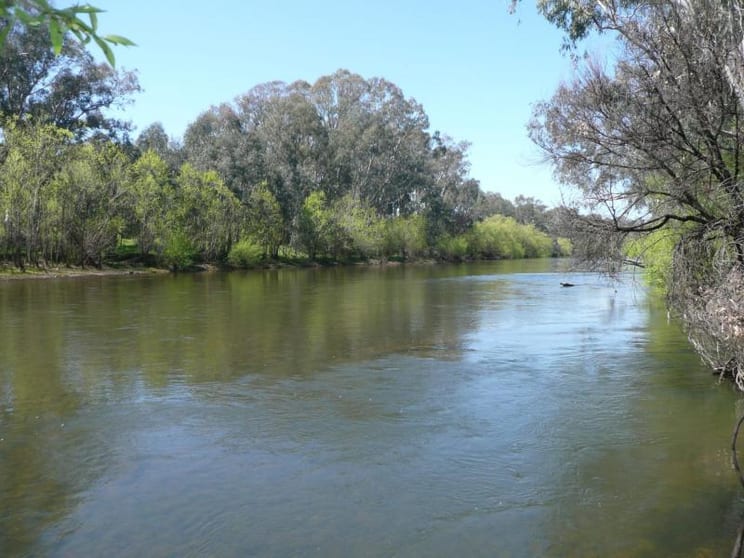 287 Whorouly River Road Whorouly VIC 3735 - Image 2