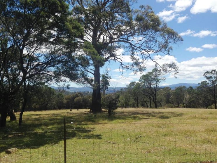 Click to view all images 20 Hardwicke Street Summerhill TAS 7250 - Image 3