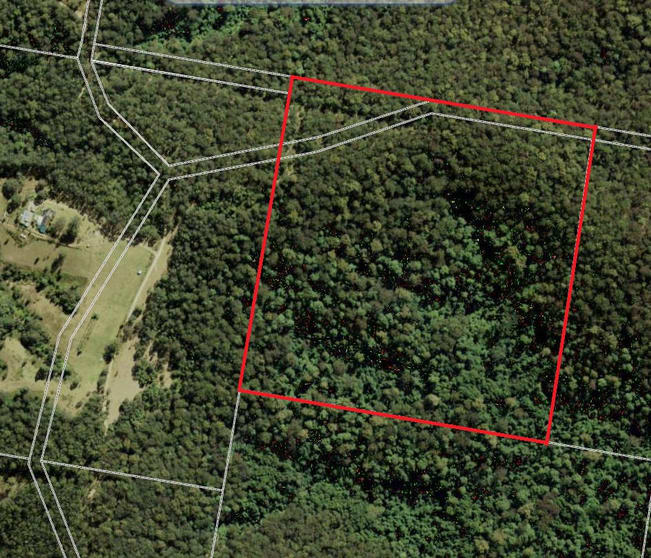 Click to view all images Lot 225 Comboyne Road Byabarra NSW 2446 - Image 1