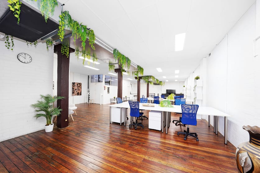 Factory, Warehouse & Industrial commercial property for lease at 6A Nelson Street Annandale NSW 2038 Factory, Warehouse & Industrial commercial property for lease at 6A Nelson Street Annandale NSW 2038