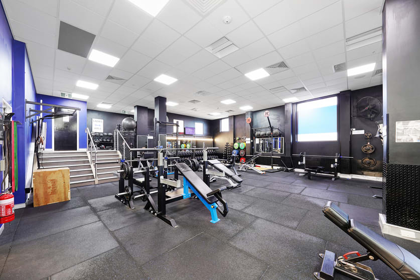 Shop & Retail commercial property for lease at 590 Parramatta Road Petersham NSW 2049