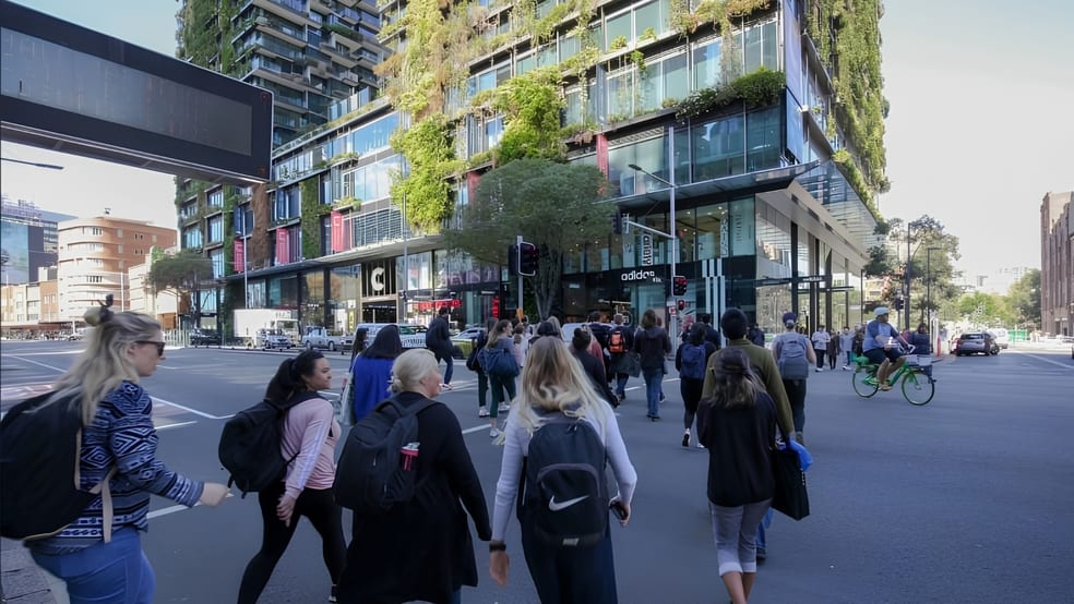 Medical / Consulting commercial property for lease at Suite 207/12-16 CHIPPEN STREET Chippendale NSW 2008 Medical / Consulting commercial property for lease at Suite 207/12-16 CHIPPEN STREET Chippendale NSW 2008