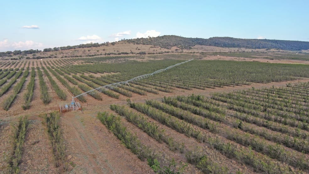 Rural / Farming commercial property for sale at 12605 Eidsvold Theodore Road Camboon QLD 4719