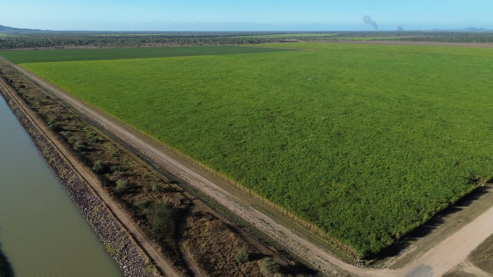 Rural / Farming commercial property for sale at 43 Keith Venables Road Upper Haughton QLD 4809