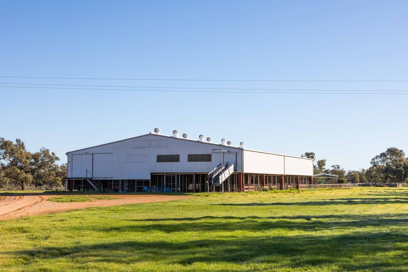 Rural / Farming commercial property for sale at Hillston NSW 2675 Rural / Farming commercial property for sale at Hillston NSW 2675