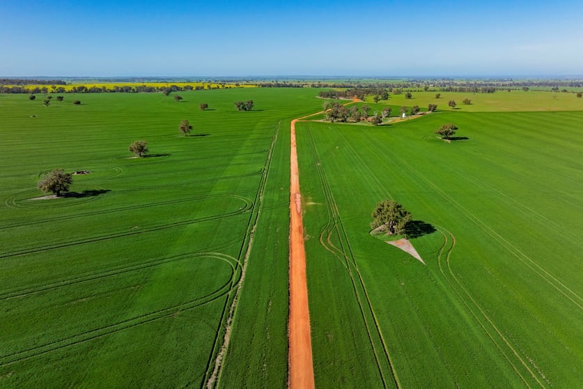 Other commercial property for sale at Barmedman NSW 2668 Other commercial property for sale at Barmedman NSW 2668