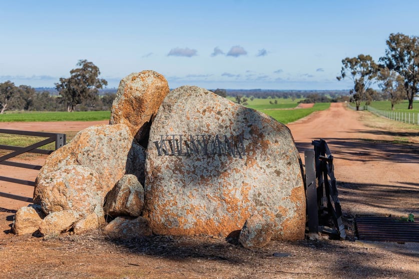 Rural / Farming commercial property for sale at 90 Kilnyana Road Savernake NSW 2646 Rural / Farming commercial property for sale at 90 Kilnyana Road Savernake NSW 2646