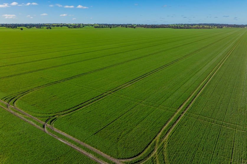 Rural / Farming commercial property for sale at 90 Kilnyana Road Savernake NSW 2646 Rural / Farming commercial property for sale at 90 Kilnyana Road Savernake NSW 2646