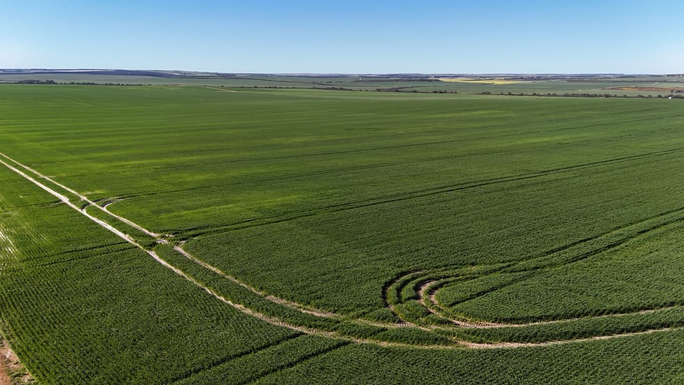 Rural / Farming commercial property for sale at 1741 Bunney Road Arrowsmith WA 6525 Rural / Farming commercial property for sale at 1741 Bunney Road Arrowsmith WA 6525