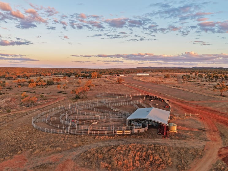 Rural / Farming commercial property for sale at 3153 Bluff Road Seventy Mile QLD 4820