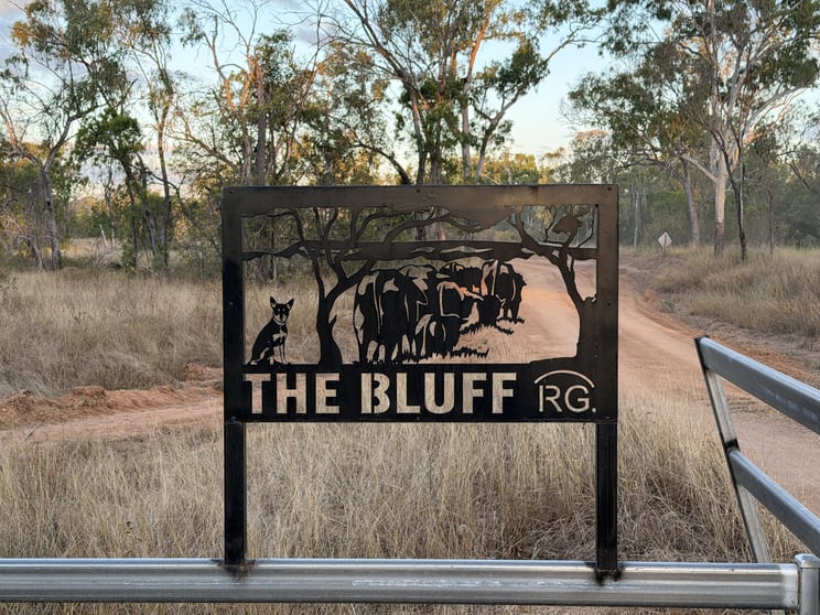 Rural / Farming commercial property for sale at 3153 Bluff Road Seventy Mile QLD 4820