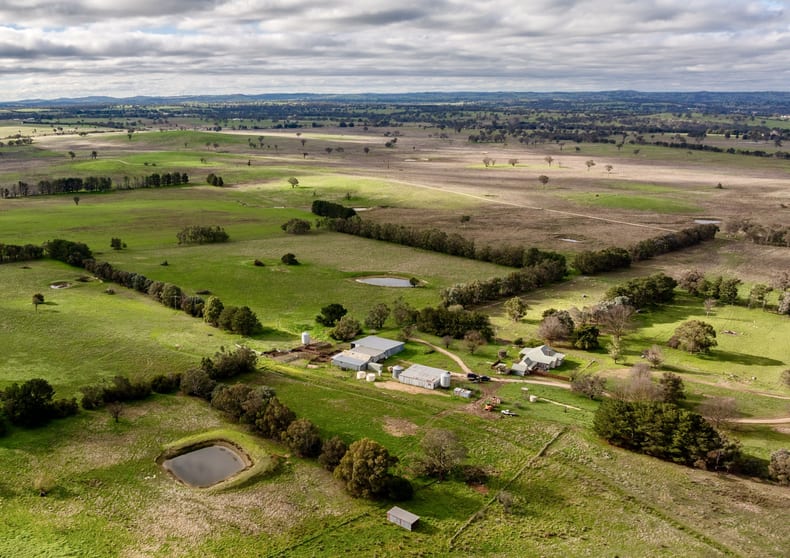 Rural / Farming commercial property for sale at 380 Graces Flat Road Bowning NSW 2582 Rural / Farming commercial property for sale at 380 Graces Flat Road Bowning NSW 2582