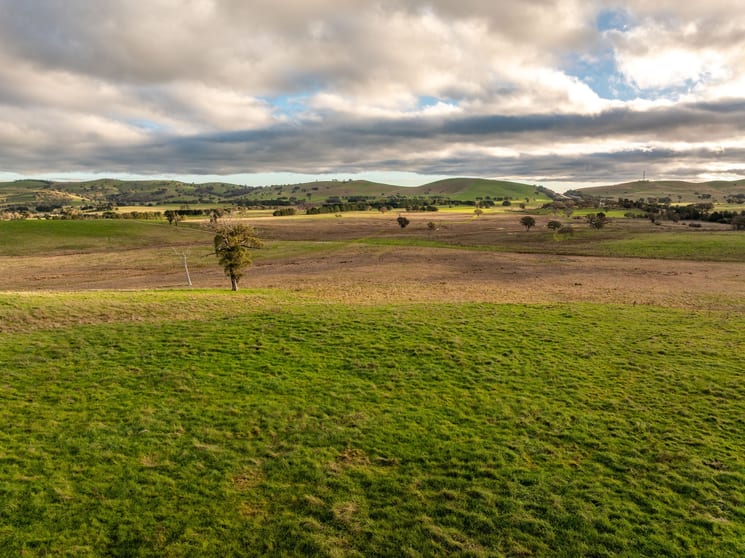 Rural / Farming commercial property for sale at 380 Graces Flat Road Bowning NSW 2582 Rural / Farming commercial property for sale at 380 Graces Flat Road Bowning NSW 2582