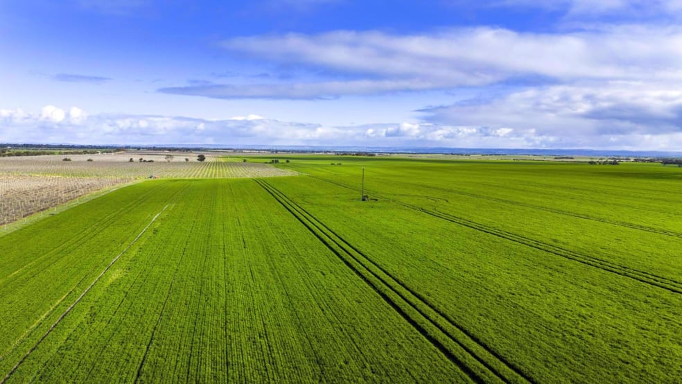 Rural / Farming commercial property for sale at 2209 Langhorne Creek Road Langhorne Creek SA 5255 Rural / Farming commercial property for sale at 2209 Langhorne Creek Road Langhorne Creek SA 5255