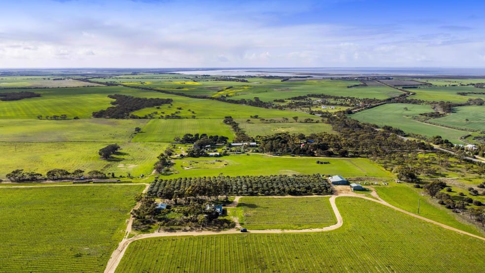 Rural / Farming commercial property for sale at 2209 Langhorne Creek Road Langhorne Creek SA 5255 Rural / Farming commercial property for sale at 2209 Langhorne Creek Road Langhorne Creek SA 5255