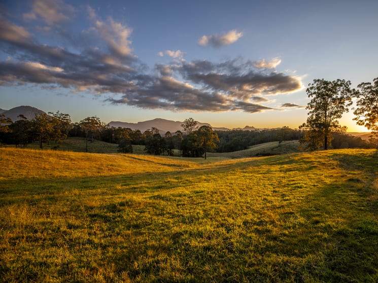 Rural / Farming commercial property for sale at 113-124 Boormans Rd Tyalgum NSW 2484