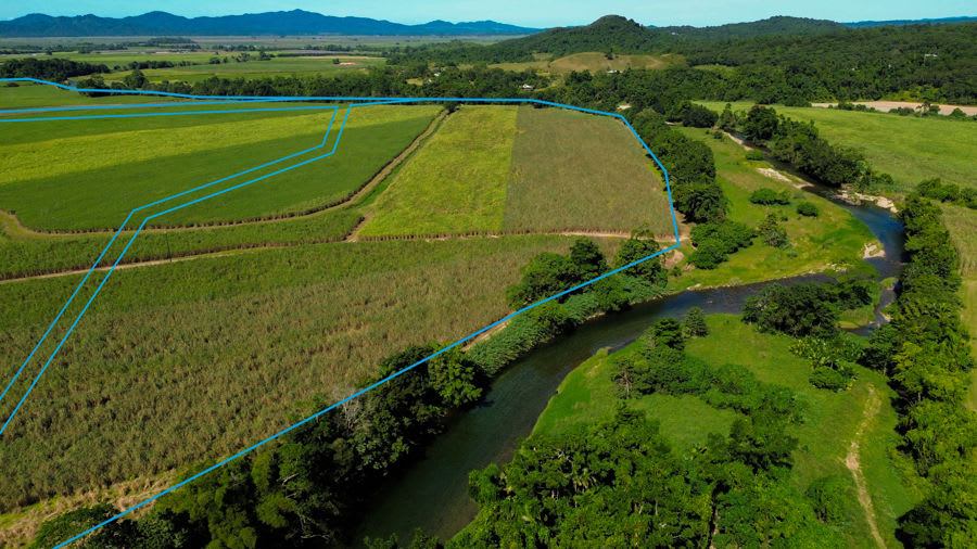 Rural / Farming commercial property for sale at 605 Boulders Road Babinda QLD 4861