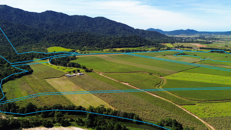 Rural / Farming commercial property for sale at 605 Boulders Road Babinda QLD 4861