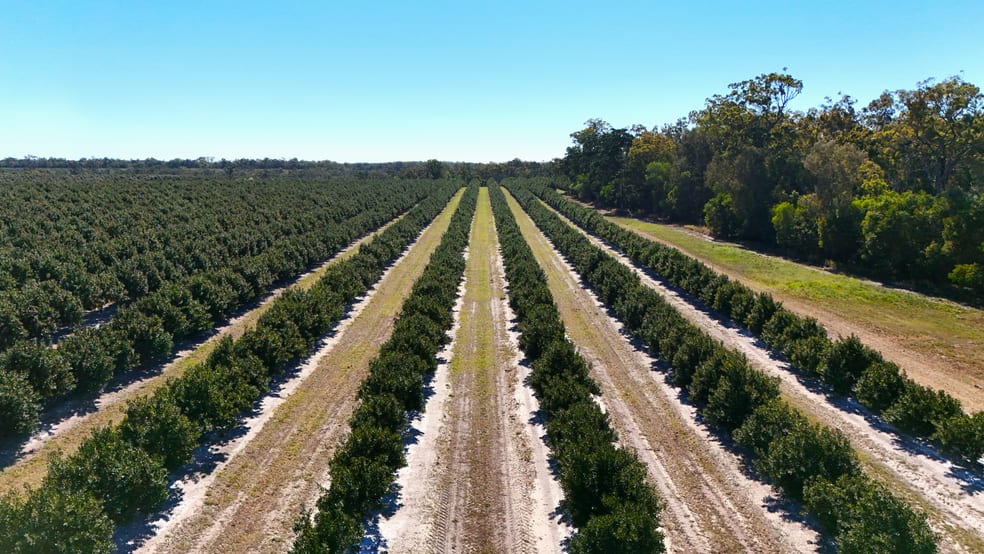 Rural / Farming commercial property for sale at 577 Boaga Road Mullett Creek QLD 4670
