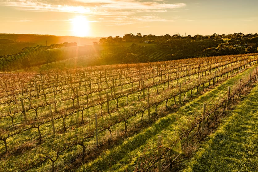 Other commercial property for sale at "Endeavour Group Portfolio" Barossa SA 5351