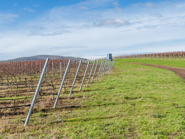 Other commercial property for sale at "Endeavour Group Portfolio" Barossa SA 5351