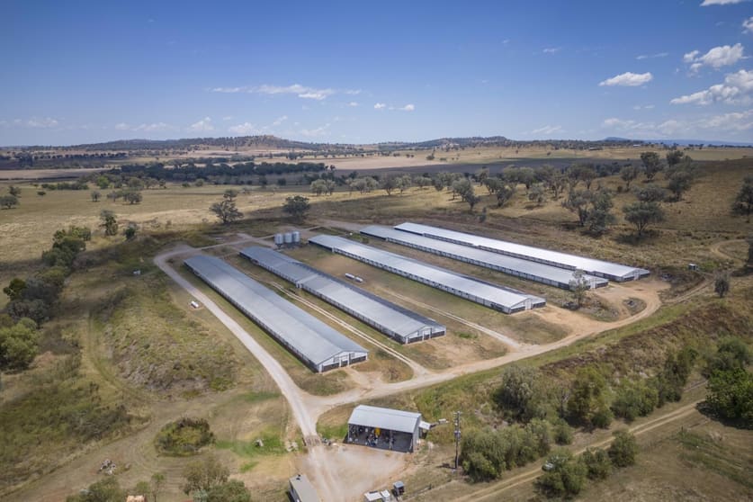 Rural / Farming commercial property for sale at 2797 Manilla Road Attunga NSW 2345 Rural / Farming commercial property for sale at 2797 Manilla Road Attunga NSW 2345