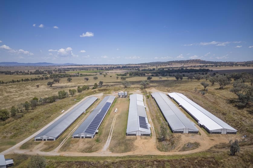 Rural / Farming commercial property for sale at 2797 Manilla Road Attunga NSW 2345 Rural / Farming commercial property for sale at 2797 Manilla Road Attunga NSW 2345