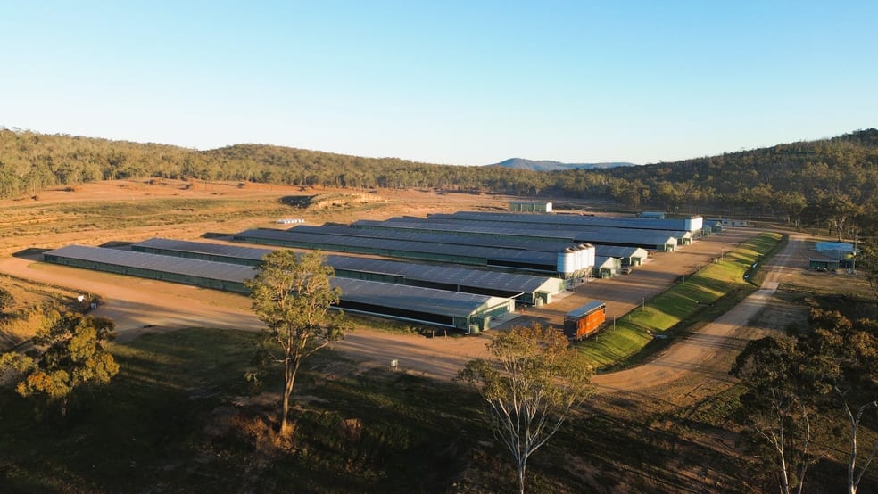 Rural / Farming commercial property for sale at 3497 Leyburn Cunningham Road Pratten QLD 4370