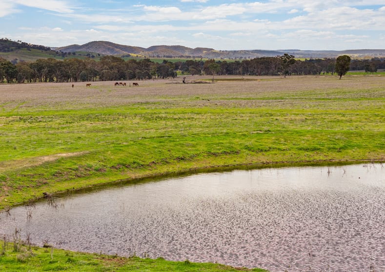 Development / Land commercial property for sale at 313 Magpie Lane Galambine NSW 2850 Development / Land commercial property for sale at 313 Magpie Lane Galambine NSW 2850