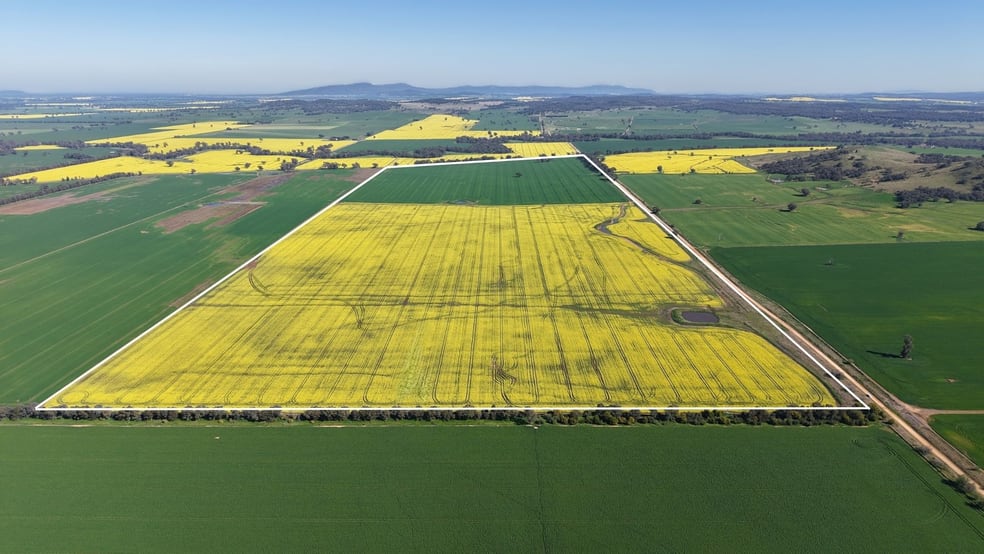 Rural / Farming commercial property for sale at Bobelar South, 1 Bobelar Lane Grenfell NSW 2810 Rural / Farming commercial property for sale at Bobelar South, 1 Bobelar Lane Grenfell NSW 2810