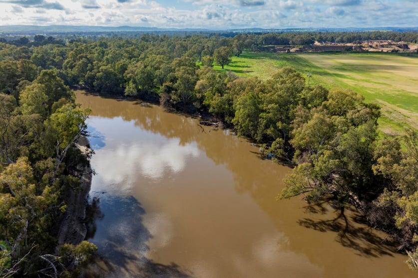 Rural / Farming commercial property for sale at 2 Gillard Road East Wagga Wagga NSW 2650 Rural / Farming commercial property for sale at 2 Gillard Road East Wagga Wagga NSW 2650