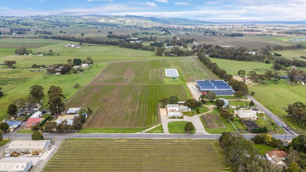 Rural / Farming commercial property for sale at 258 Angaston Road Angaston SA 5353 Rural / Farming commercial property for sale at 258 Angaston Road Angaston SA 5353